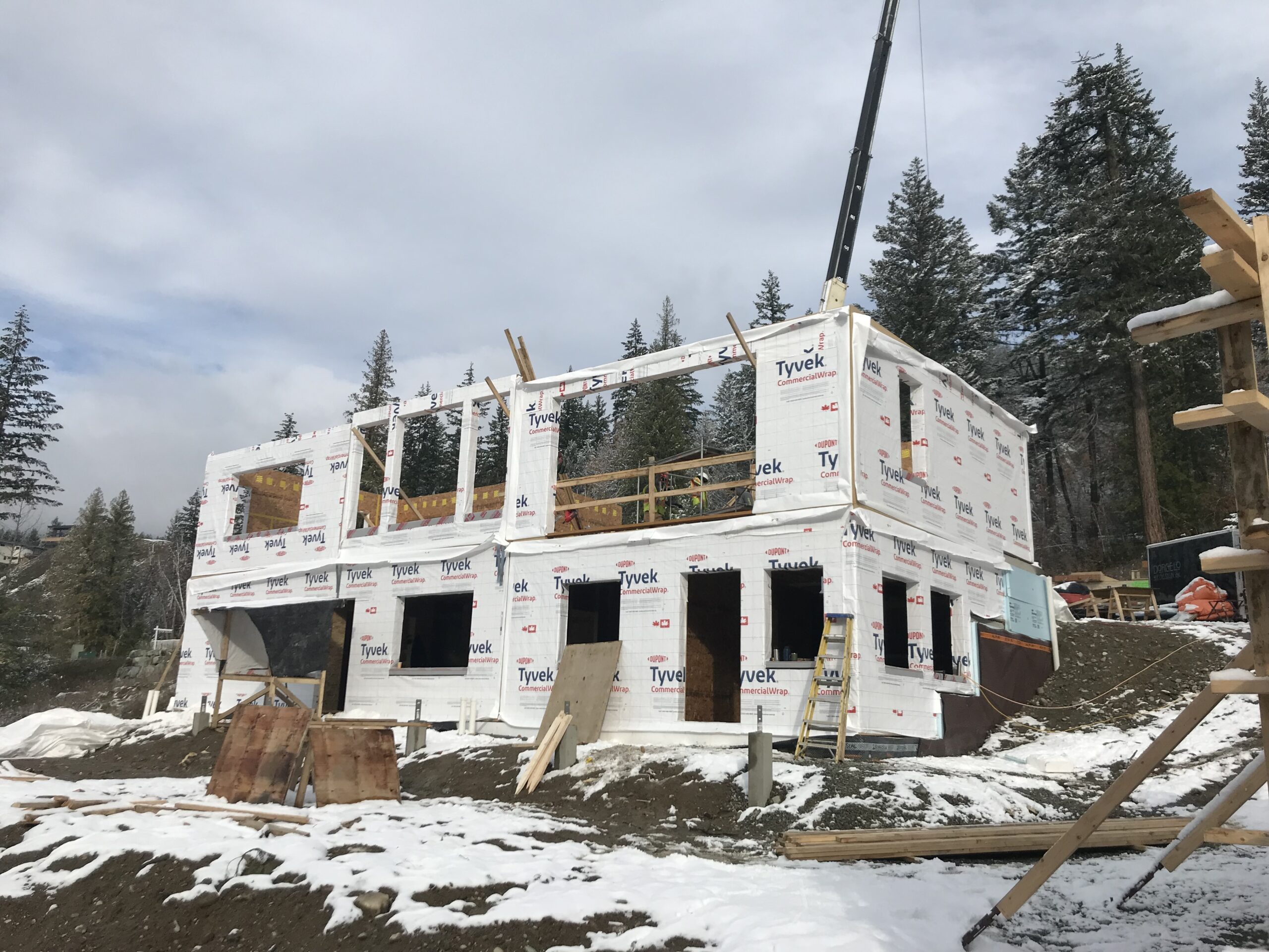 Back of house